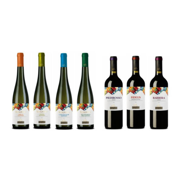 Cartone Linea Classica