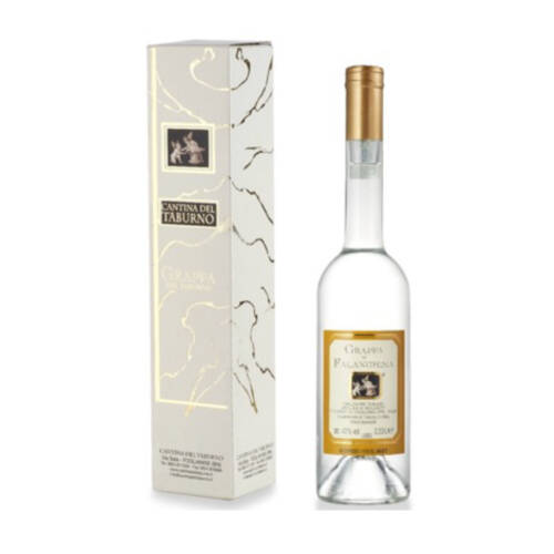 Grappa di Falanghina