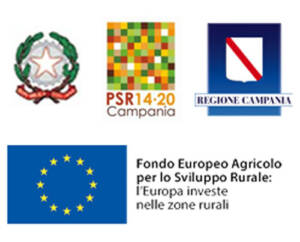 Regione Campania